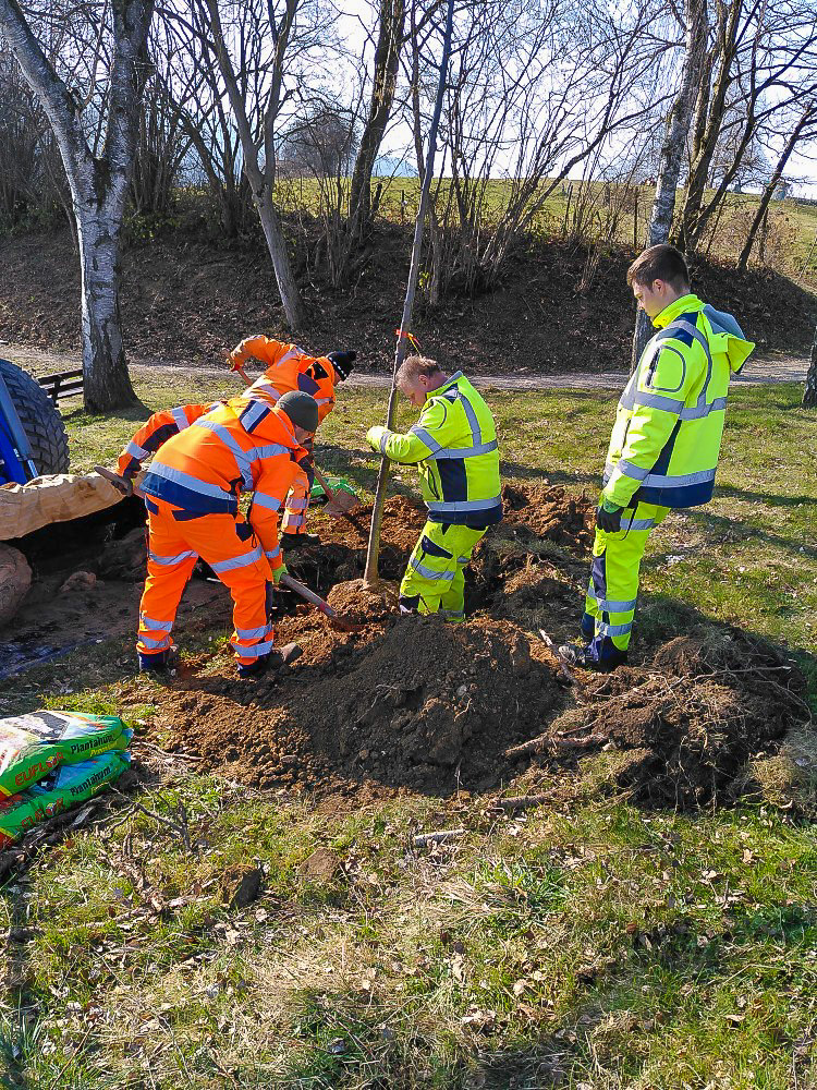 Klima-Au-IMG_20220309_101754Baumpflanzung