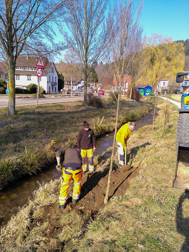 Klima-Au-IMG_20220309_153653Baumpflanzung